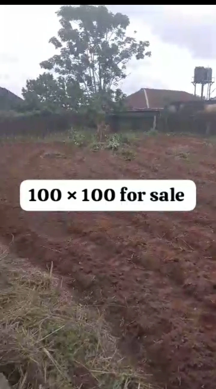 Land for Sale in Amagba, Edo - Image 1