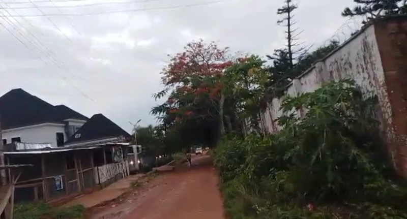 Land for Sale in IYEKOGBA IRIRI, Edo - Image 2