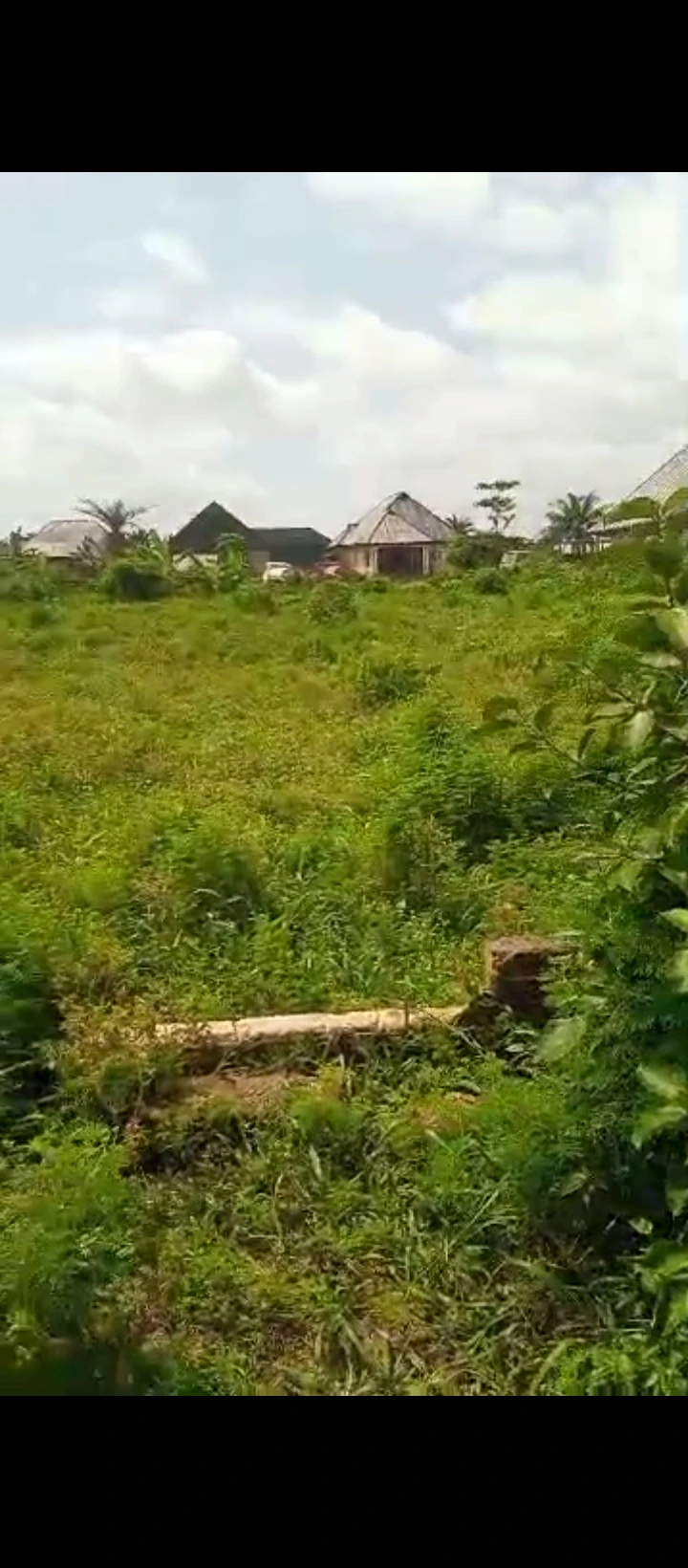 Land for Sale in Obagie road, Edo - Image 2