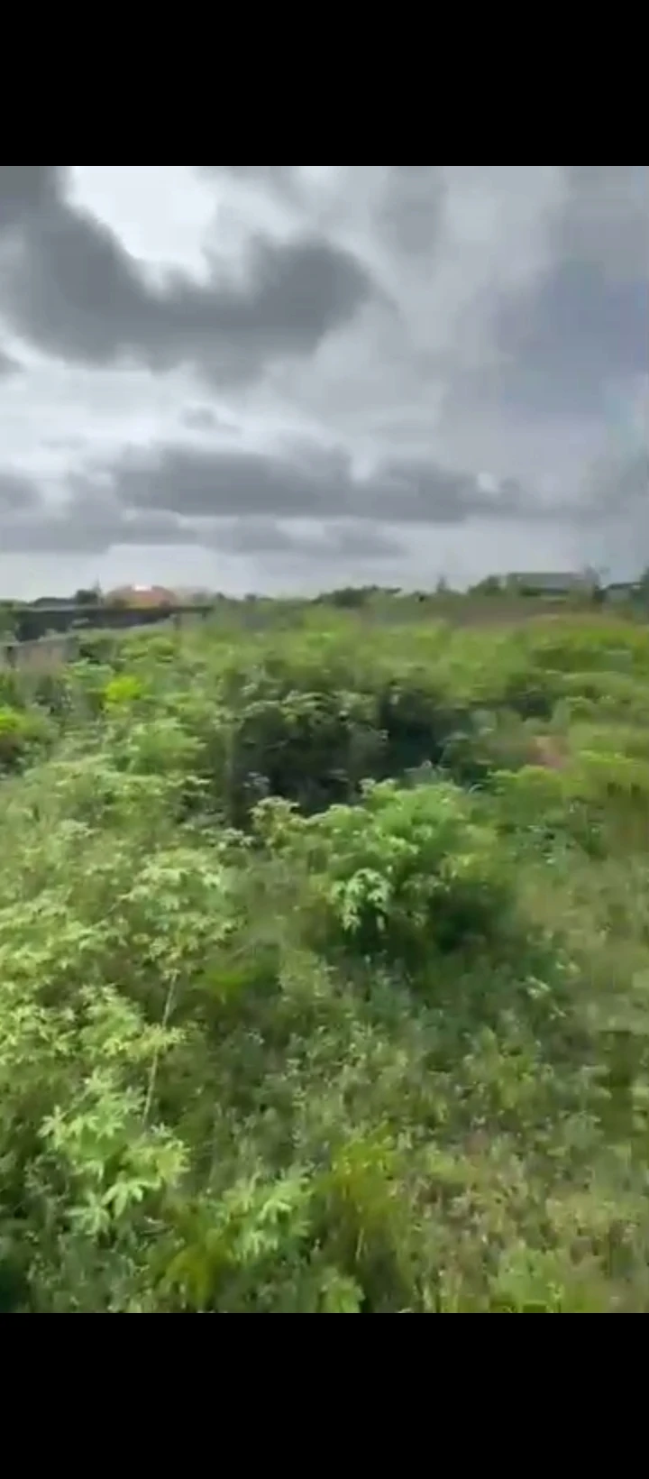 Land for Sale in Amagba, Edo - Image 3