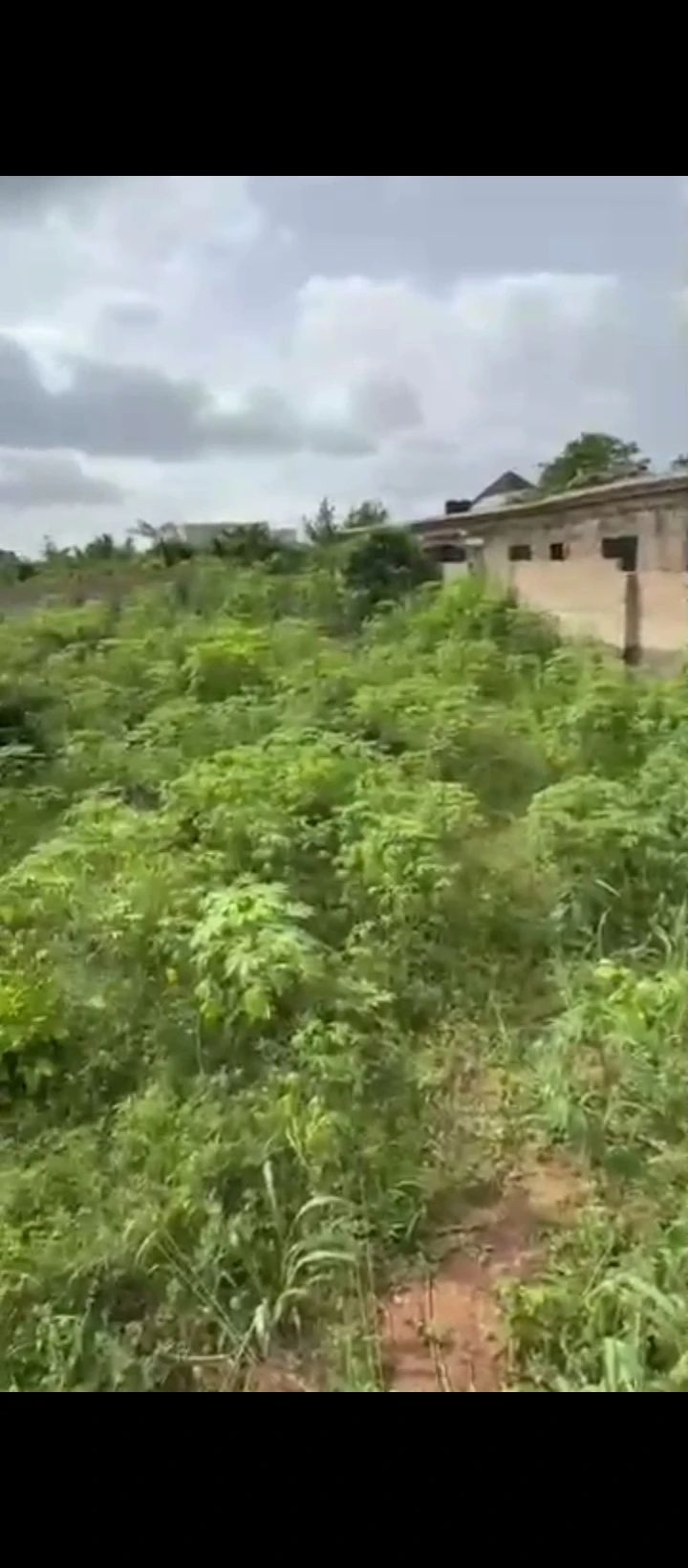 Land for Sale in Amagba, Edo - Image 1