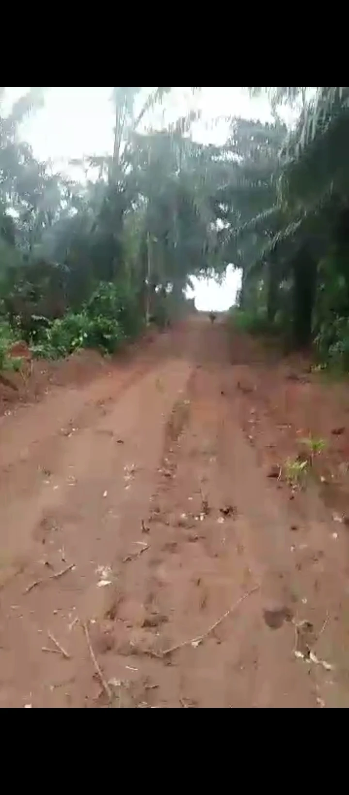 Land for Sale in Upper siloko road, Edo - Image 2