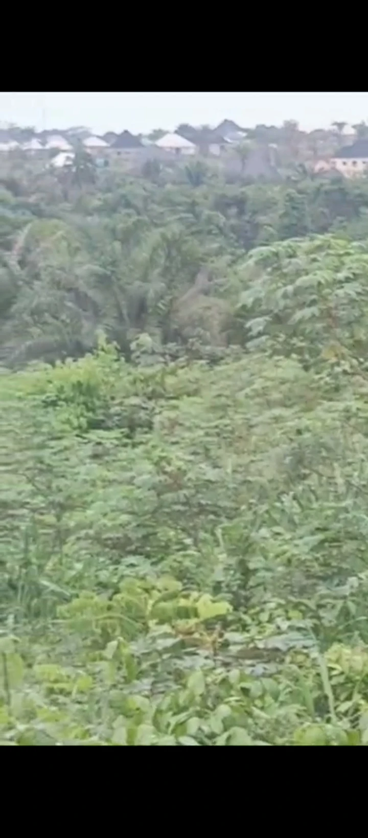 Land for Sale in Arougba, Edo - Image 2
