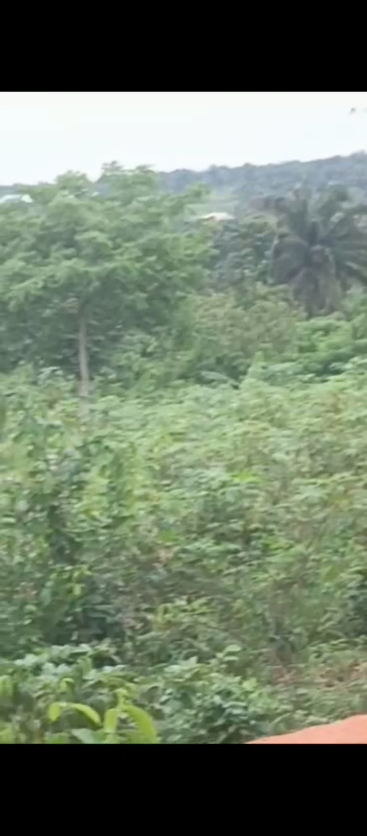 Land for Sale in Arougba, Edo - Image 3
