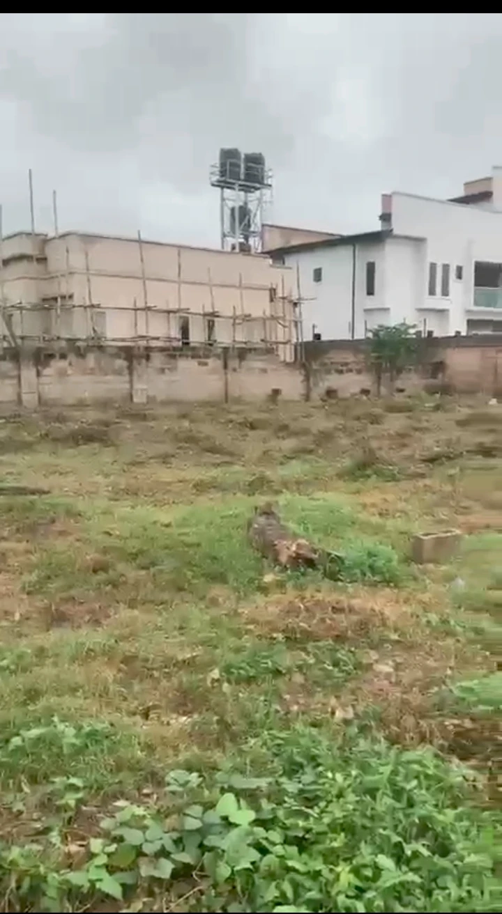 Land for Sale in Biu amagba, Edo - Image 2