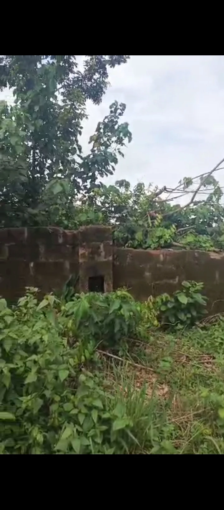 Land for Sale in okorumi, Edo - Image 4