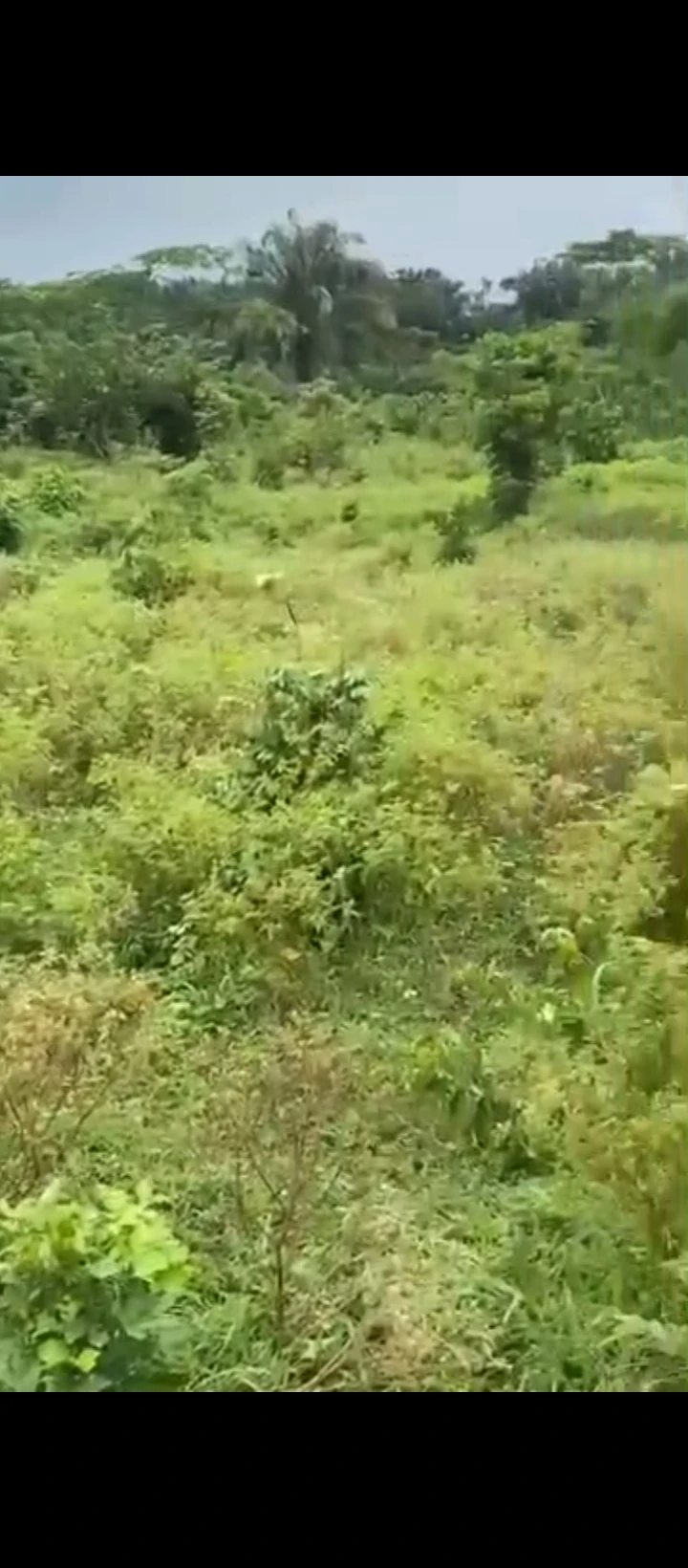 Land for Sale in EKHIADOLOR, Edo - Image 2