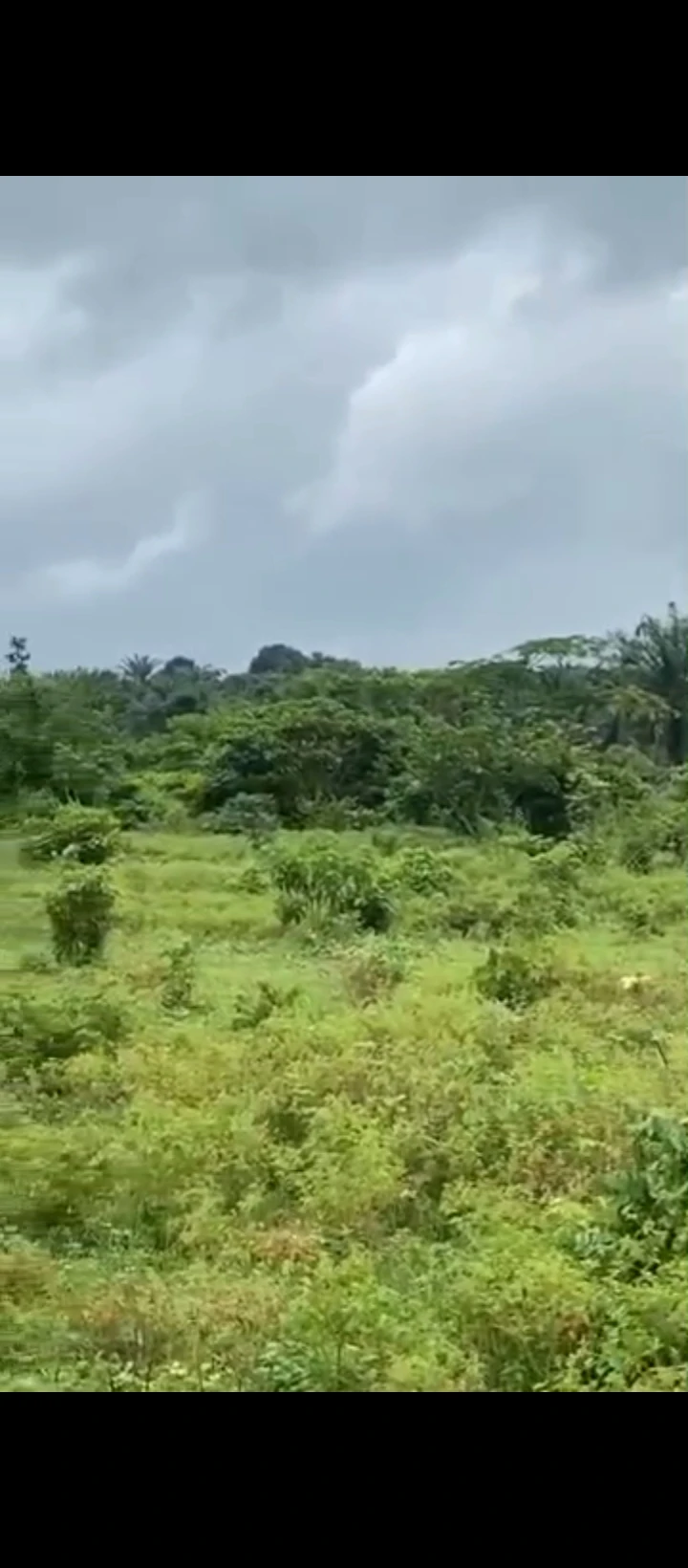 Land for Sale in EKHIADOLOR, Edo - Image 1