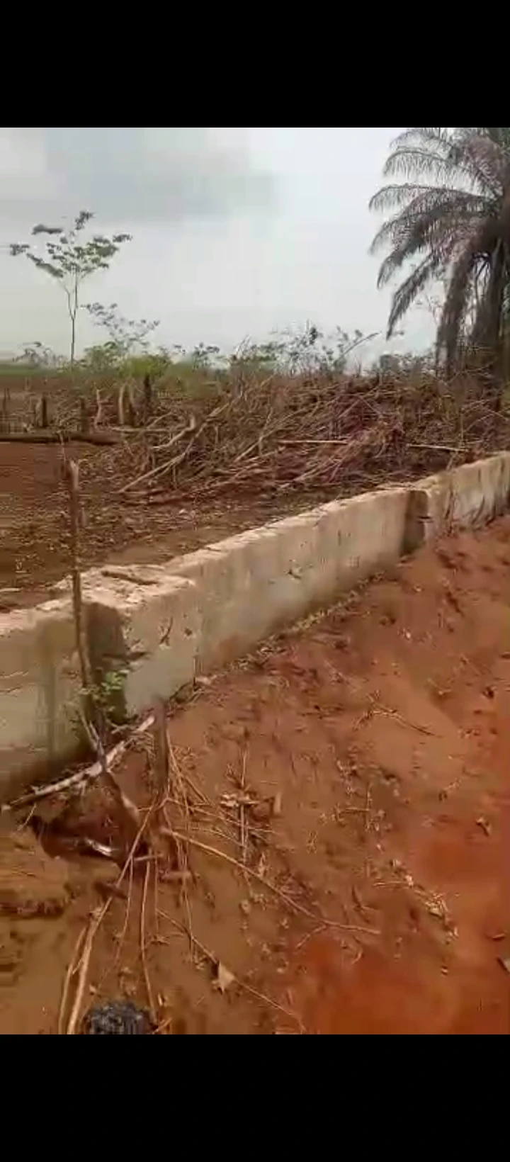 Land for Sale in Obagie, Edo - Image 2