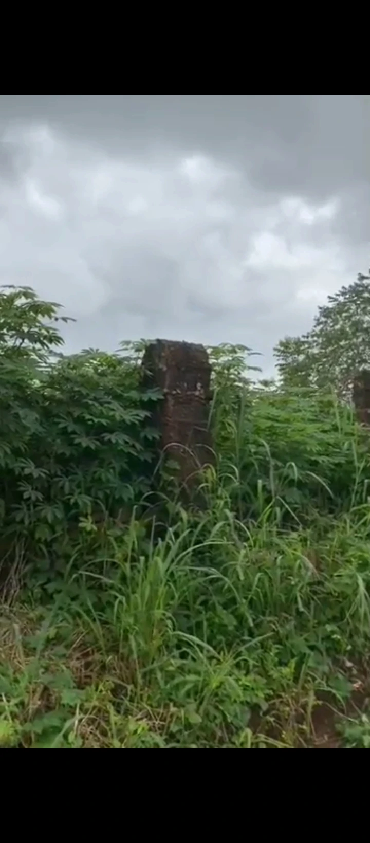 Land for Sale in Ugbor, Edo - Image 1