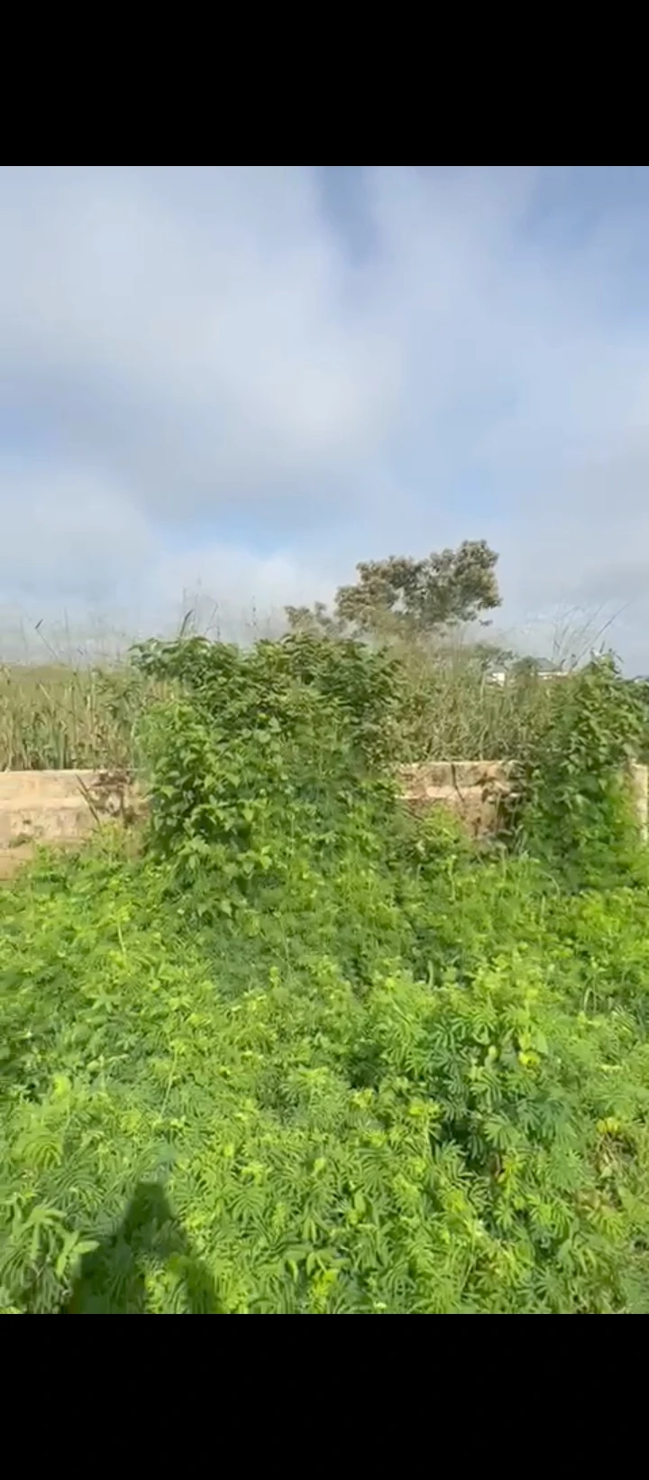 Land for Sale in BIU Road along sapele road, Edo - Image 1