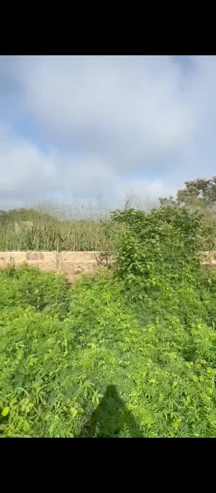 Land for Sale in BIU Road along sapele road, Edo - Image 2