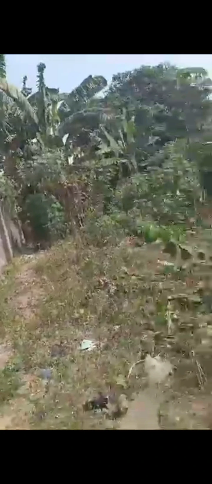 Land for Sale in Oluku, Edo - Image 2