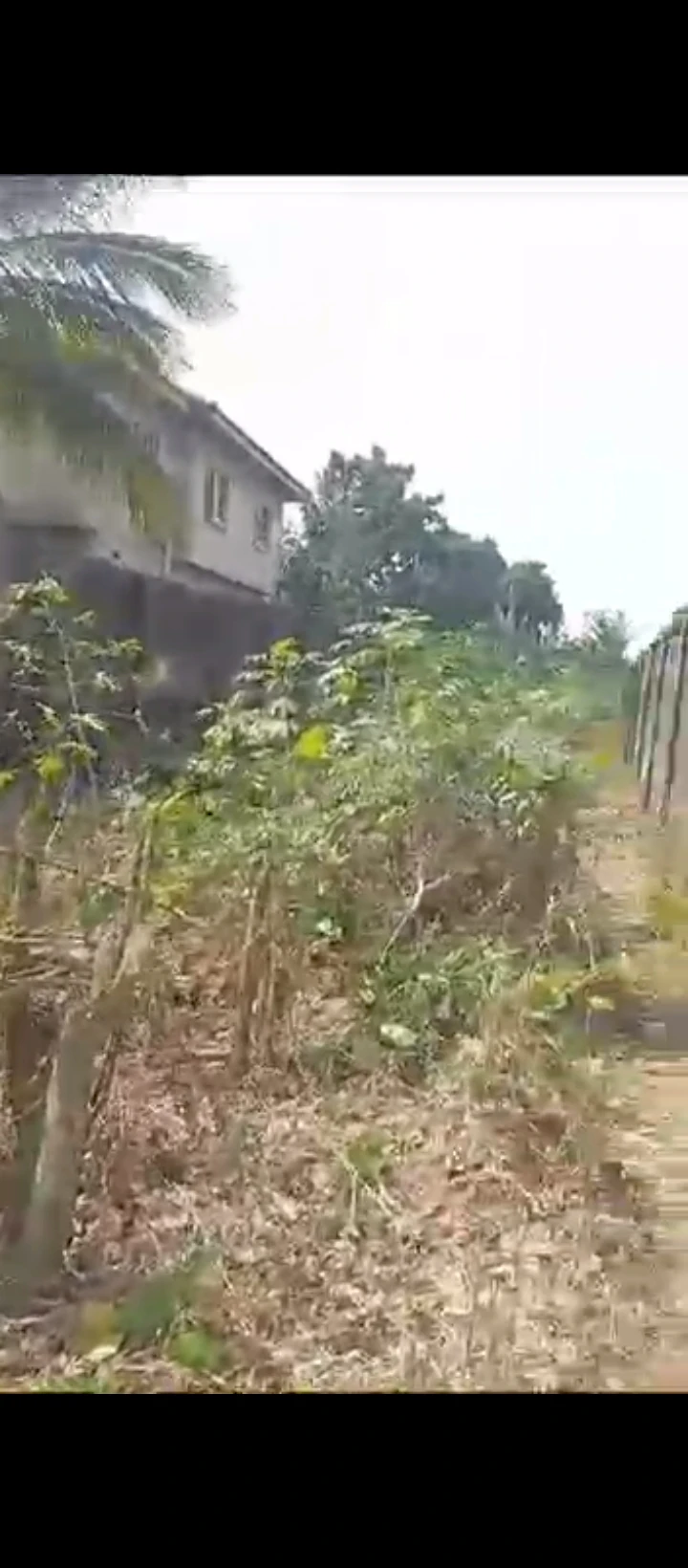 Land for Sale in Oluku, Edo - Image 3