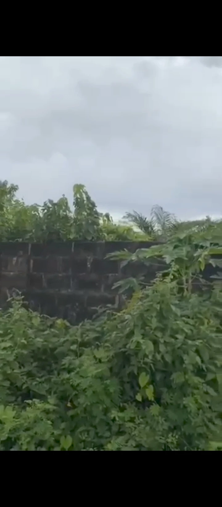 Land for Sale in Amagba, Edo - Image 1