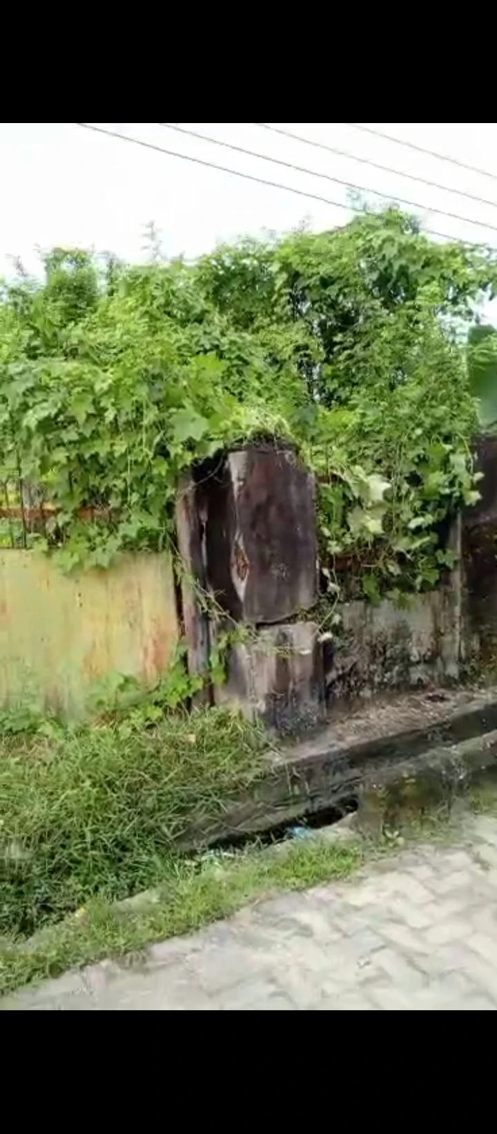 Land for Sale in Orhobo college, Delta - Image 3