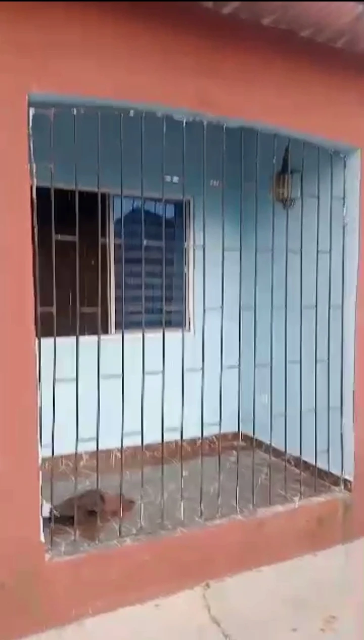 2 Bedroom Flat for Rent in Adesa Warri, Delta - Image 1