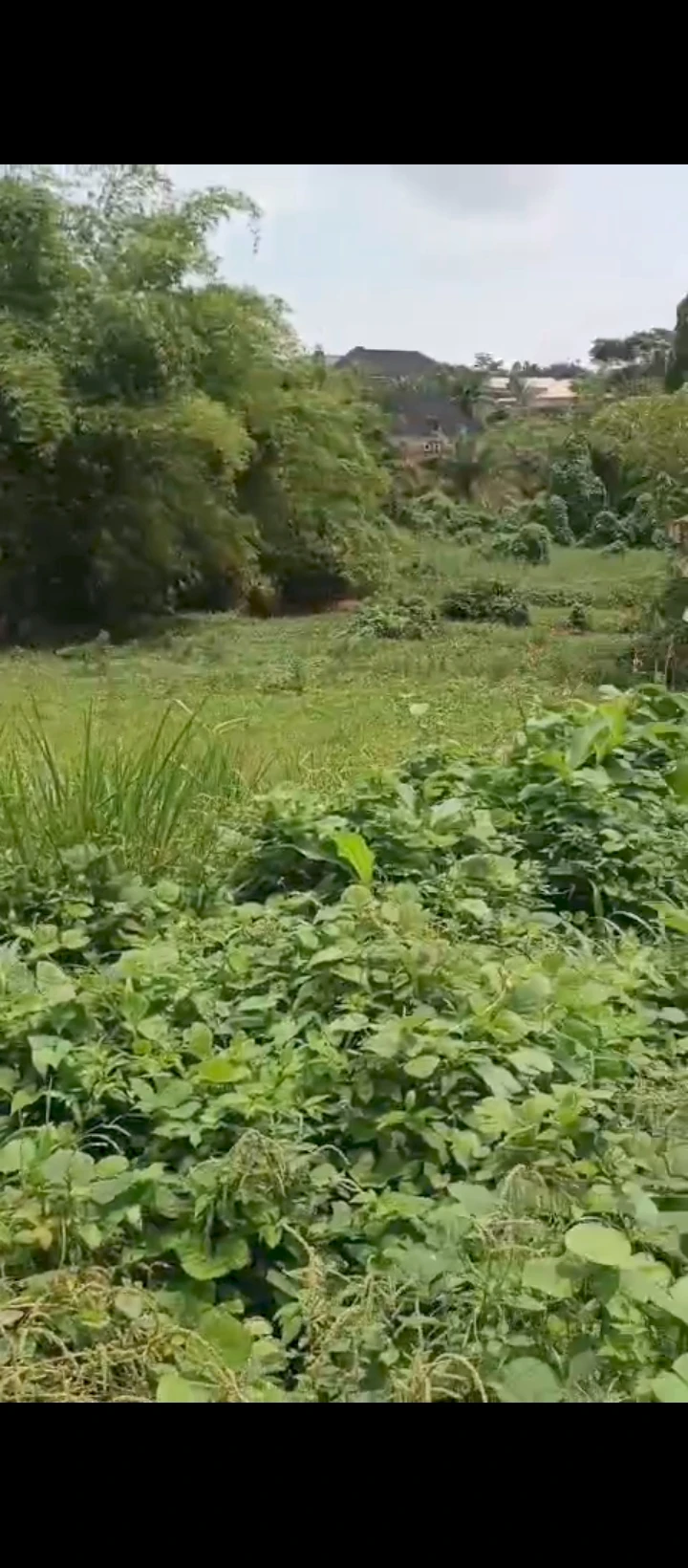 Land for Sale in Ogba airport road, Edo - Image 2