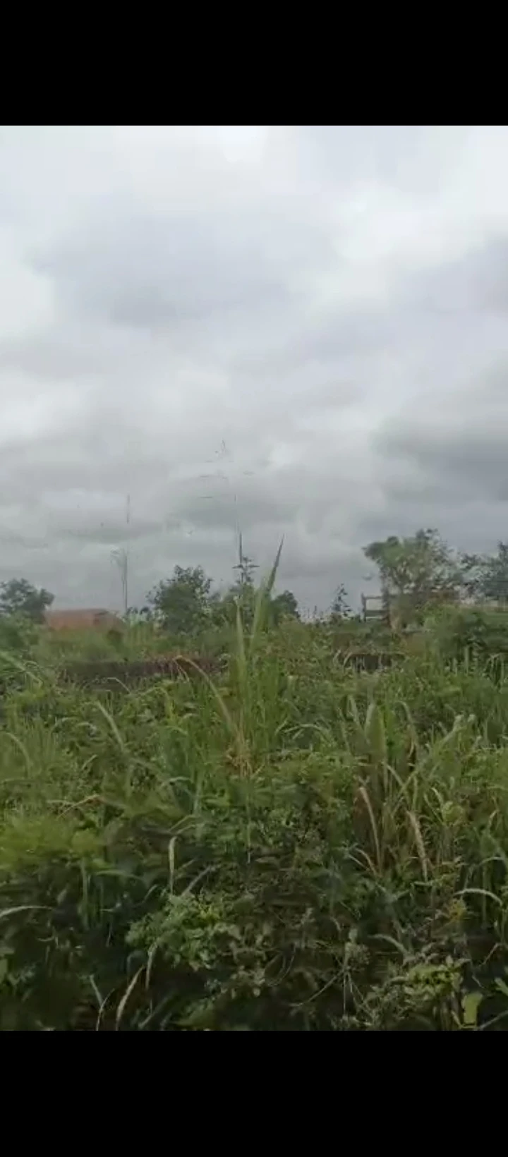 Land for Sale in Obagie road, Edo - Image 2