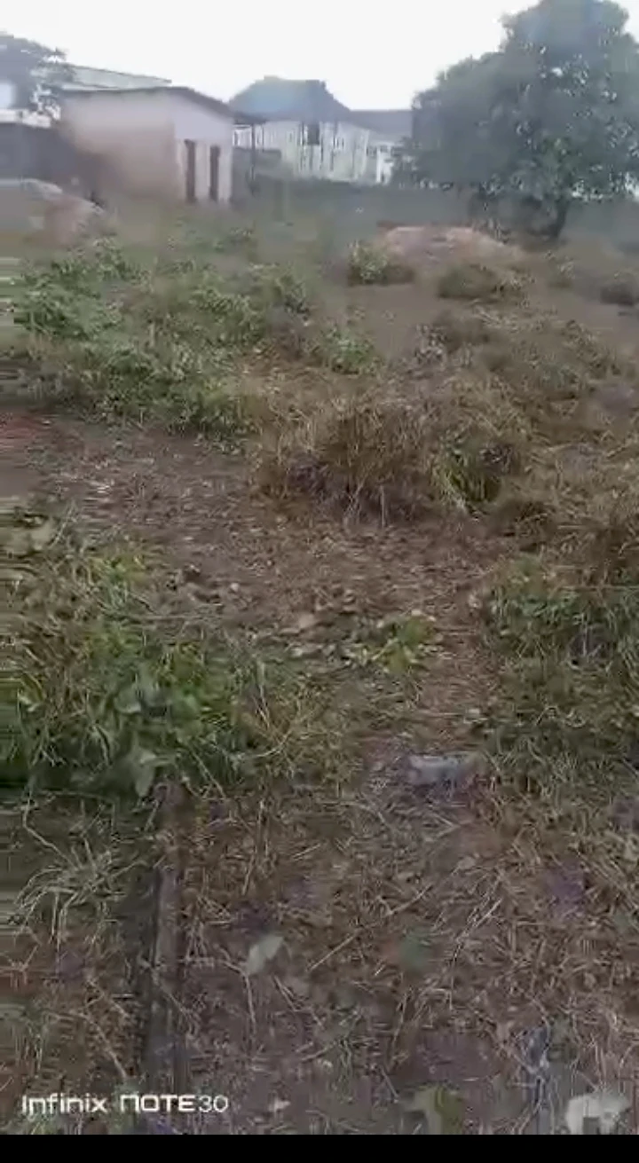 Land for Sale in Amagba, Edo - Image 2