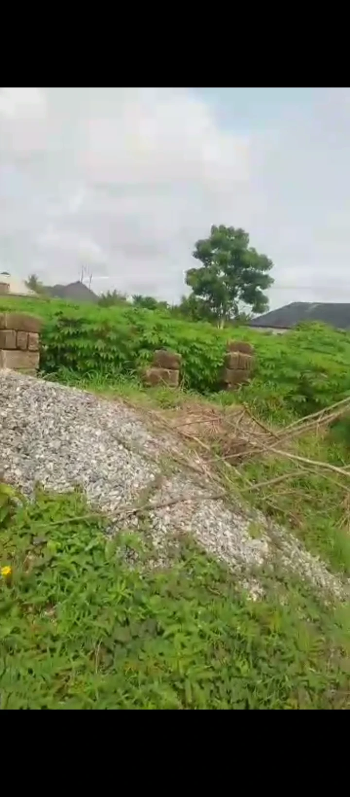 Land for Sale in Amagba, Edo - Image 2