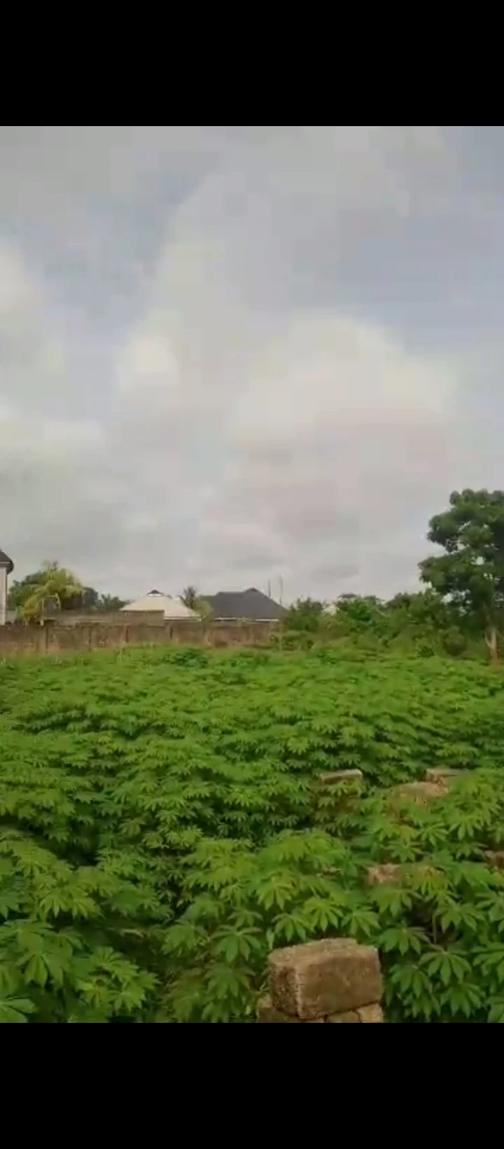 Land for Sale in Amagba, Edo - Image 1