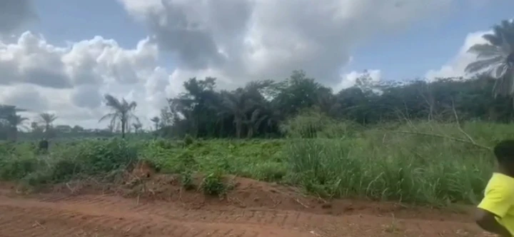 Land for Sale in Upper Ekehuaw, Edo - Image 1
