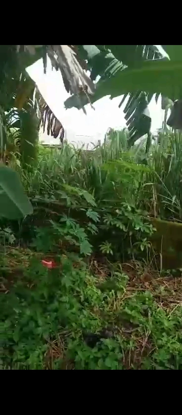 Uncompleted Building for Sale in Uhie sapele road, Edo - Image 2