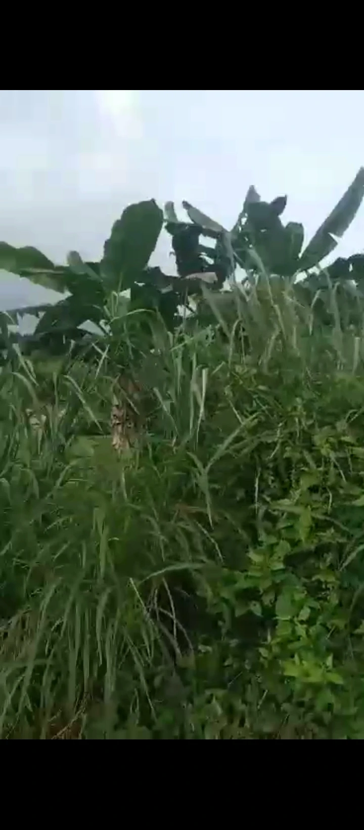 Uncompleted Building for Sale in Uhie sapele road, Edo - Image 3