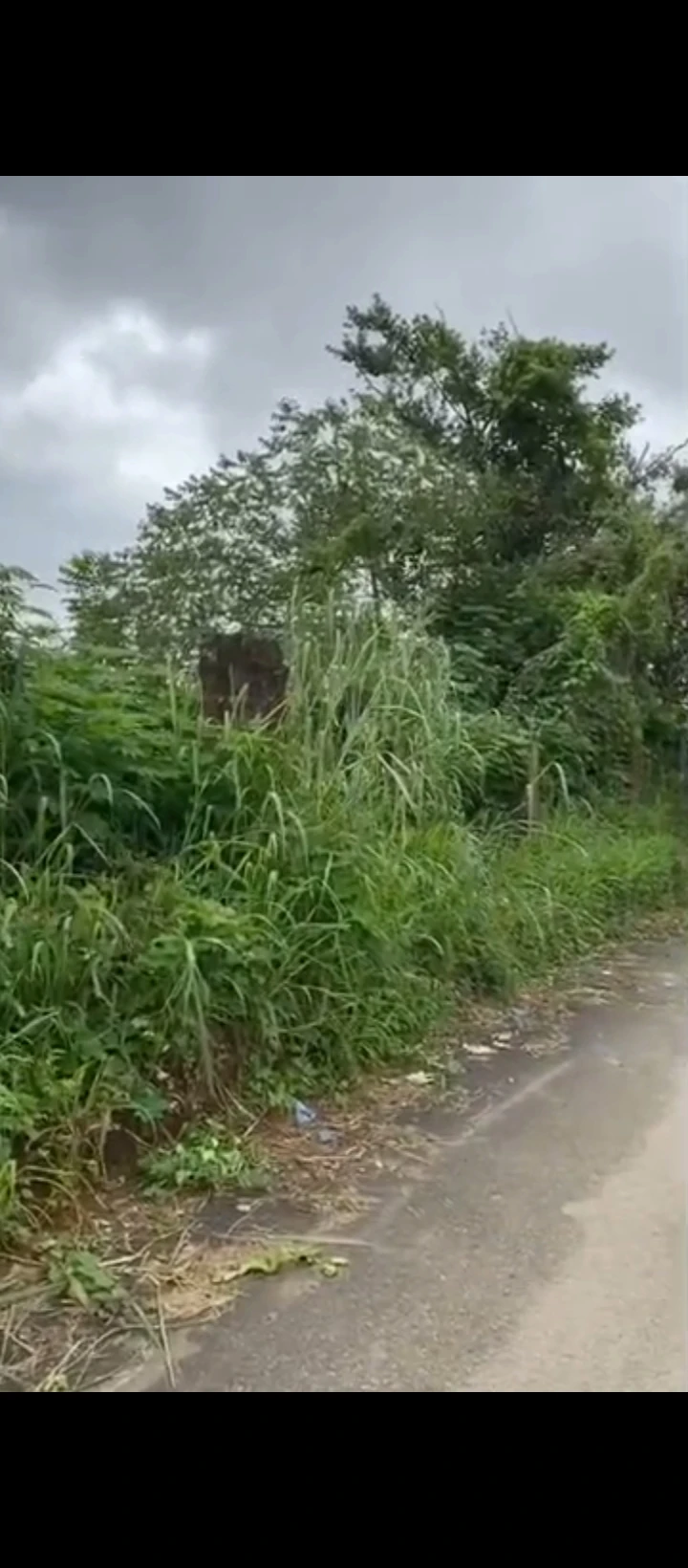 Land for Sale in Ugbor central, Edo - Image 3