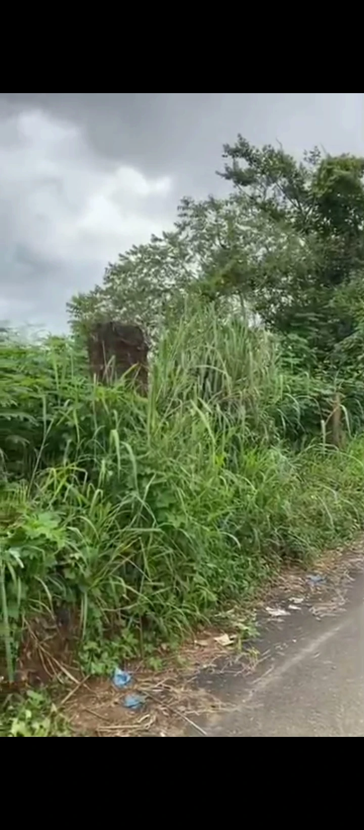Land for Sale in Ugbor central, Edo - Image 1