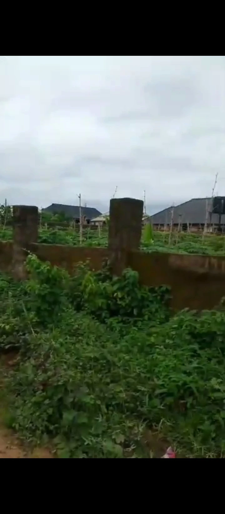 Land for Sale in Ogheghe, Edo - Image 4