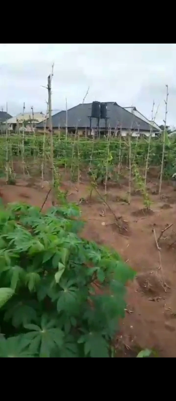 Land for Sale in Ogheghe, Edo - Image 1
