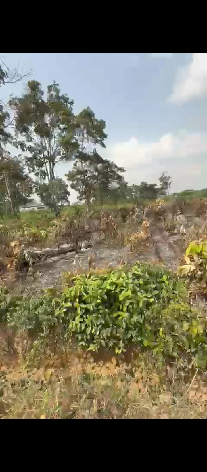 Land for Sale in Otokutu, Delta - Image 1