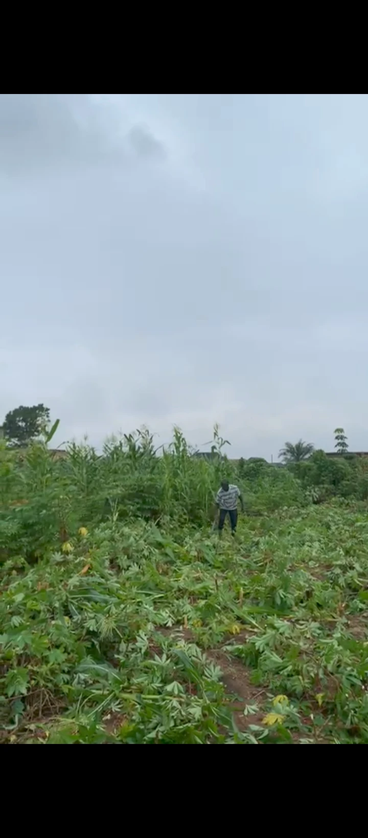 Land for Sale in Obagie road, Edo - Image 2