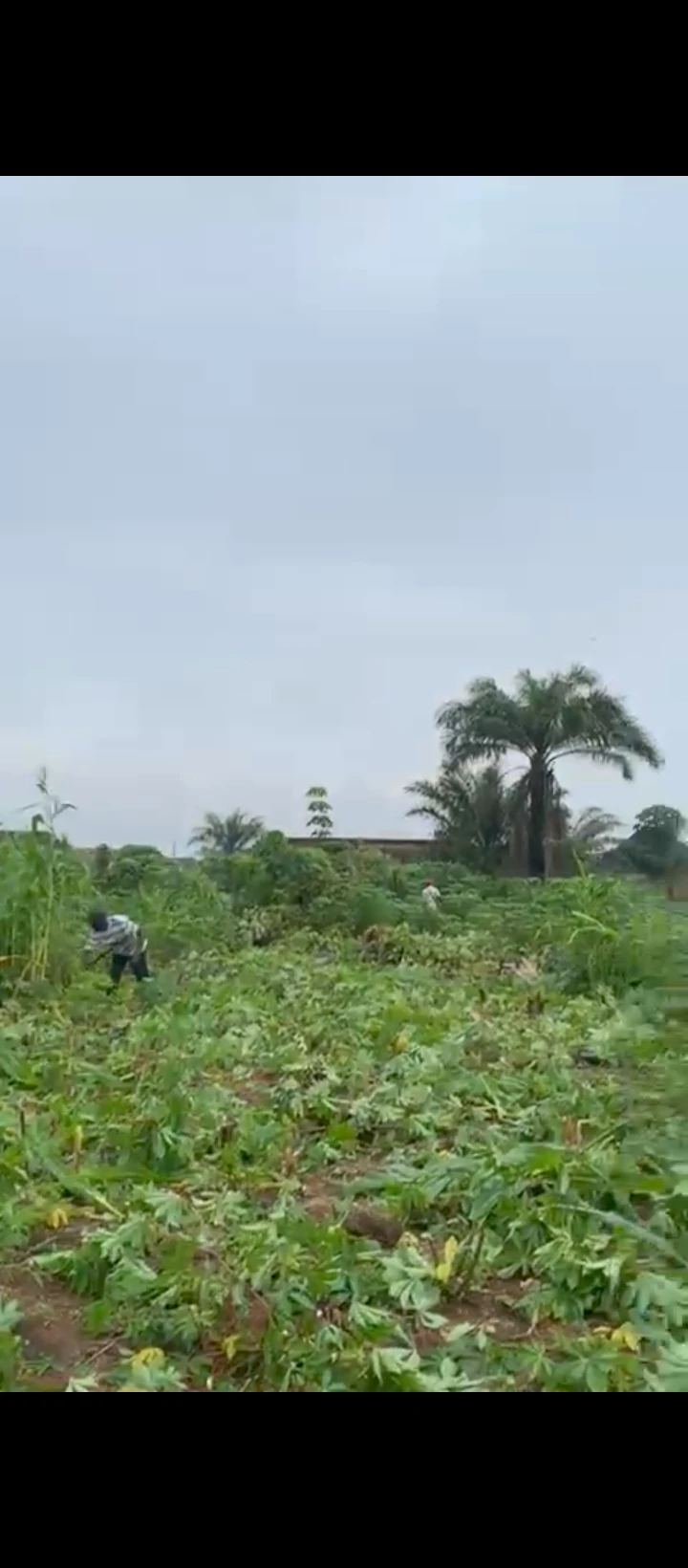 Land for Sale in Obagie road, Edo - Image 3