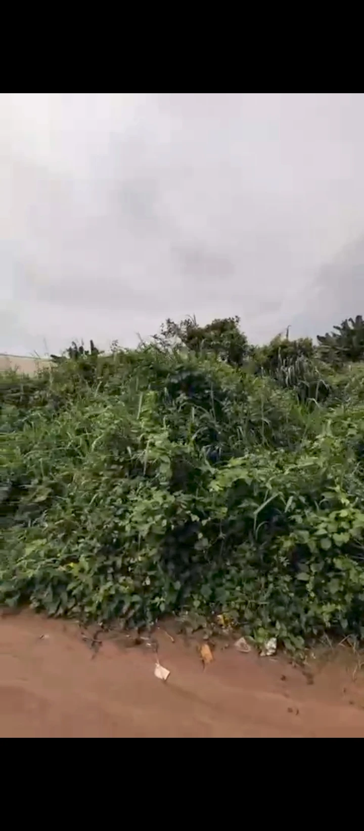 Land for Sale in Ekosodin, Edo - Image 1