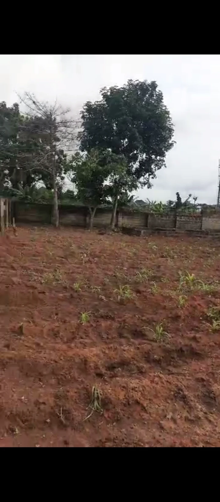 Land for Sale in Ogunwenyin, Edo - Image 1