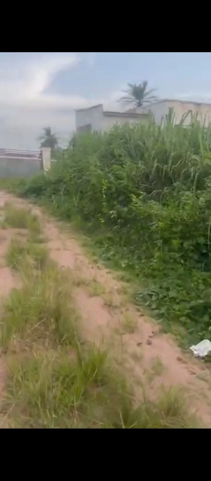 Land for Sale in Arougba, Edo - Image 3