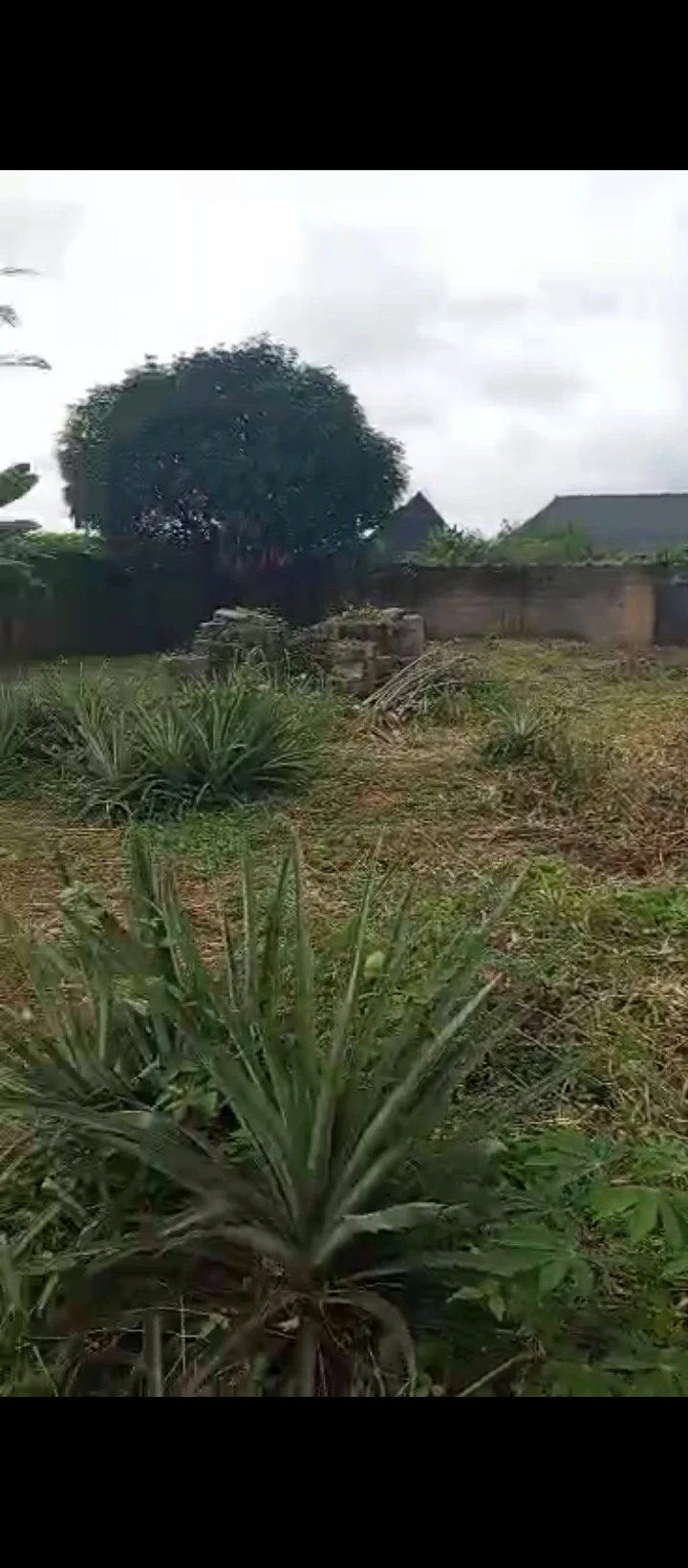 Bungalow for Sale in Pinnurt by obe community sapele road, Edo - Image 3