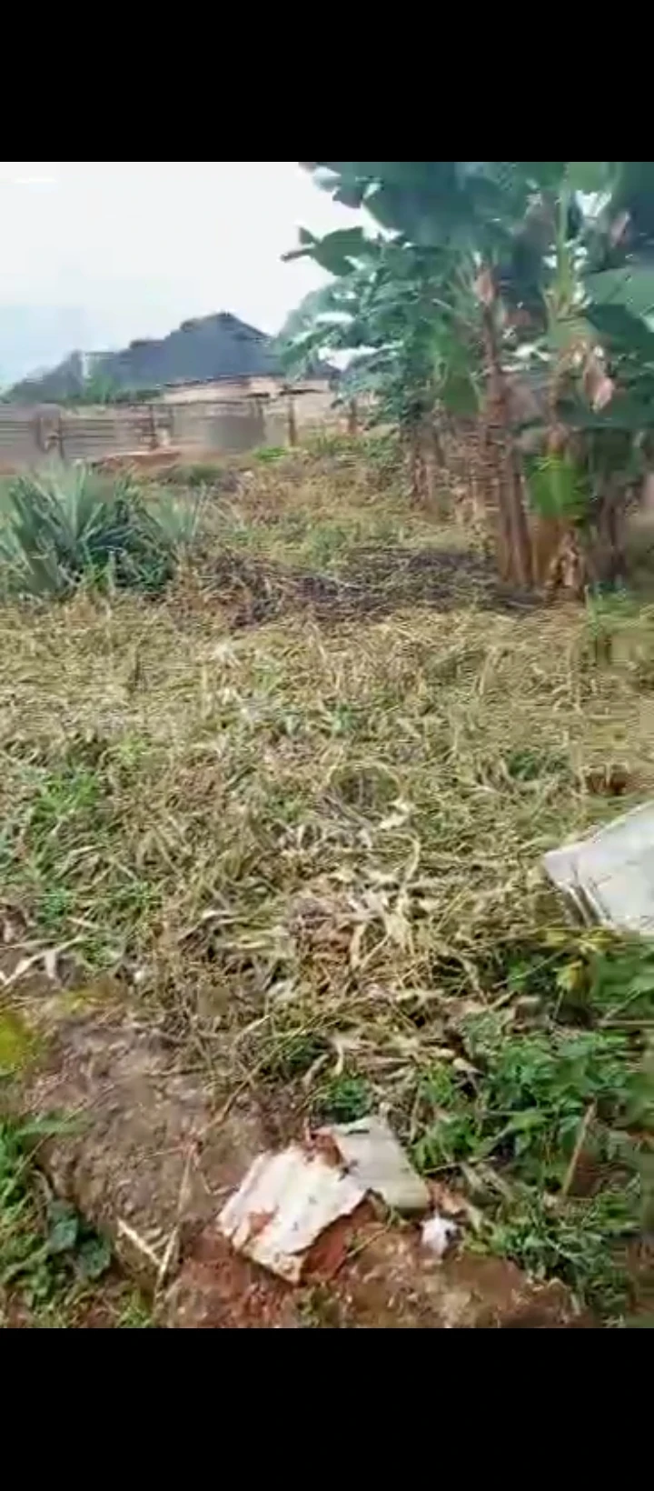 Bungalow for Sale in Pinnurt by obe community sapele road, Edo - Image 4