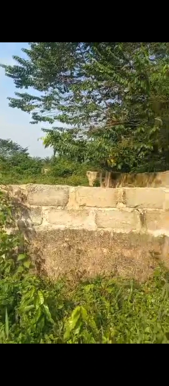 Land for Sale in Uhie sapele road, Edo - Image 1