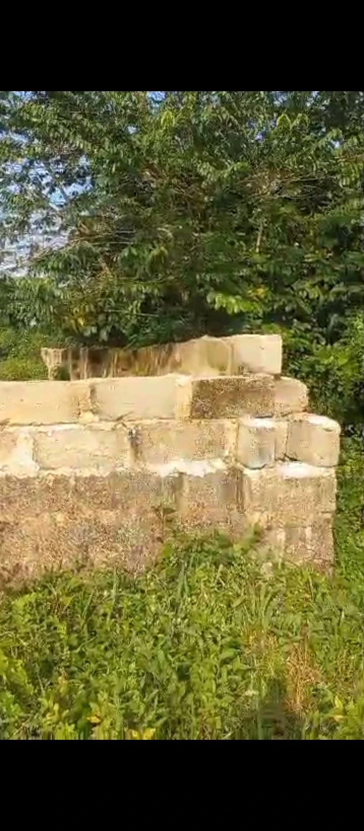 Land for Sale in Uhie sapele road, Edo - Image 2