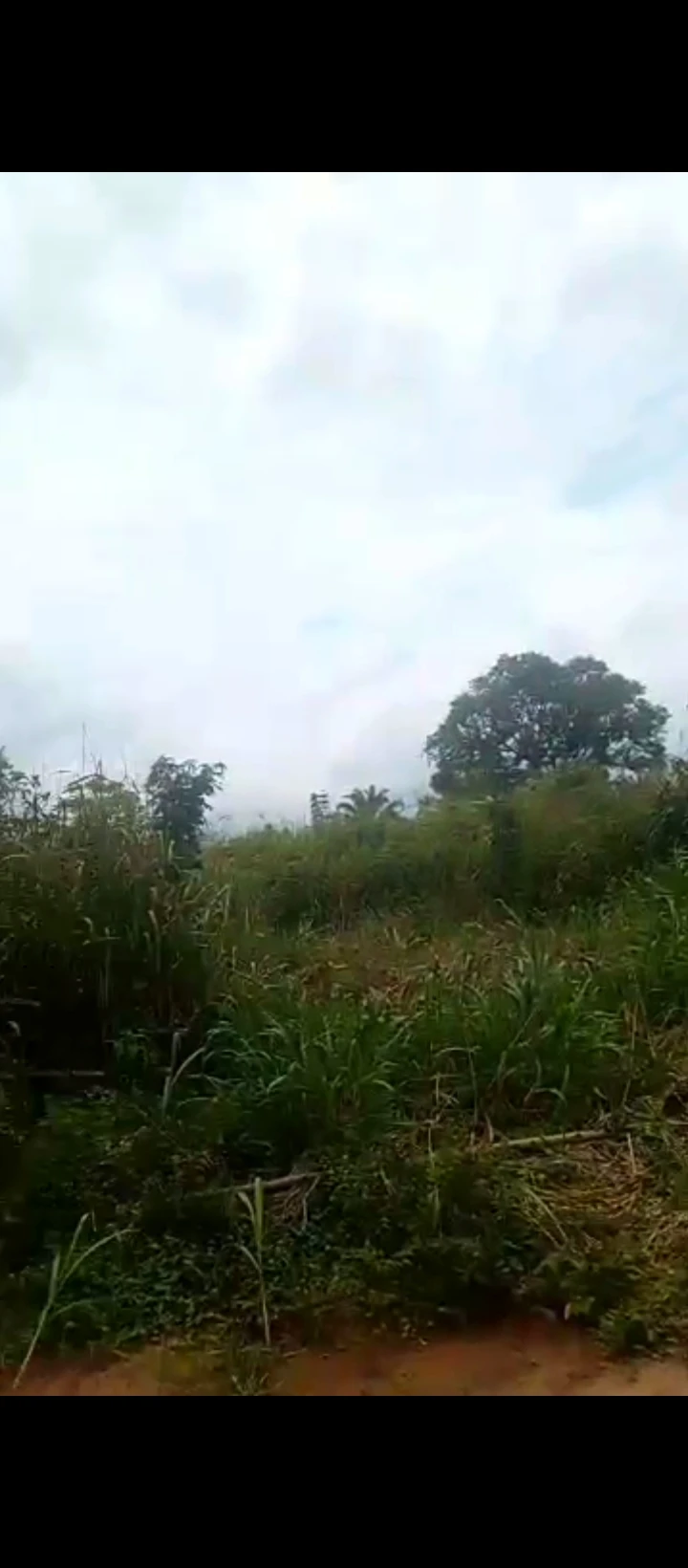 Land for Sale in Ureghin, Edo - Image 1