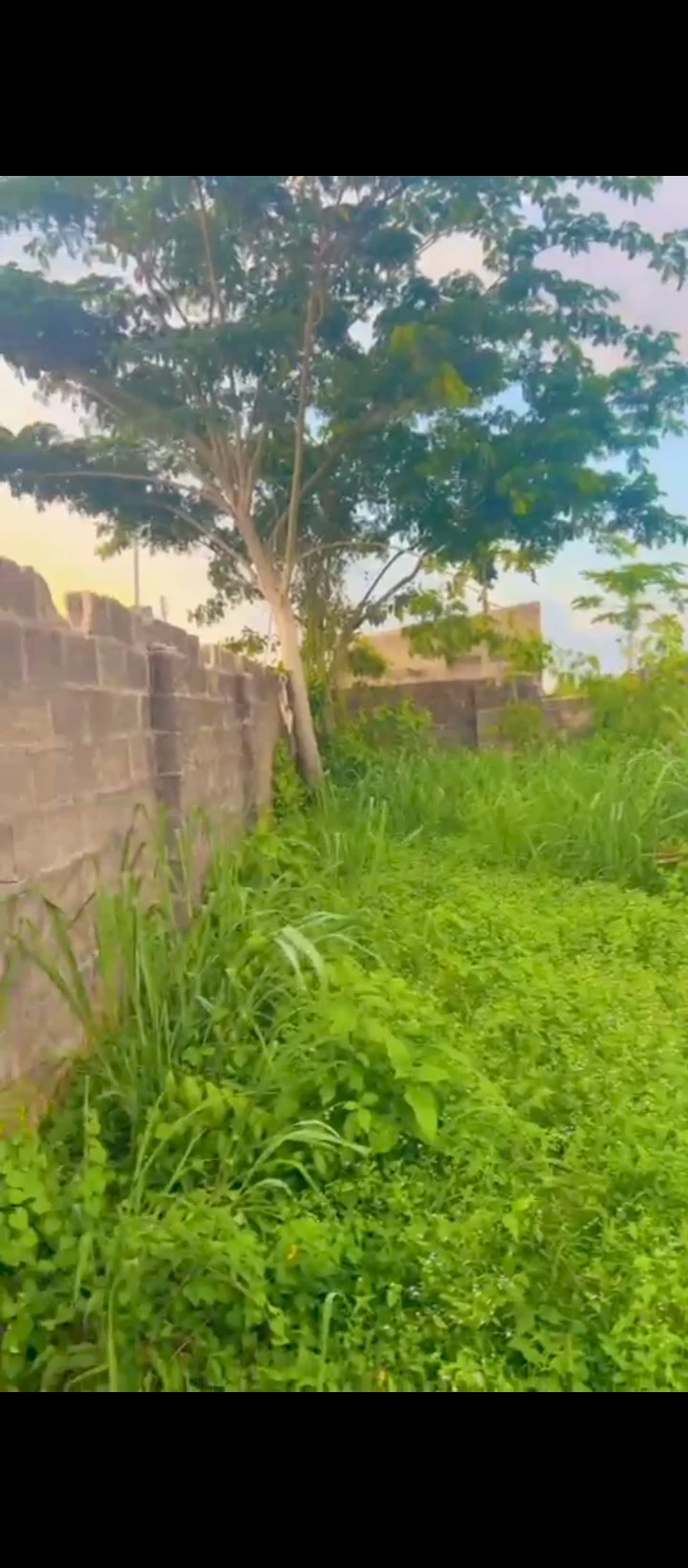 Land for Sale in Falanu country home, Edo - Image 2