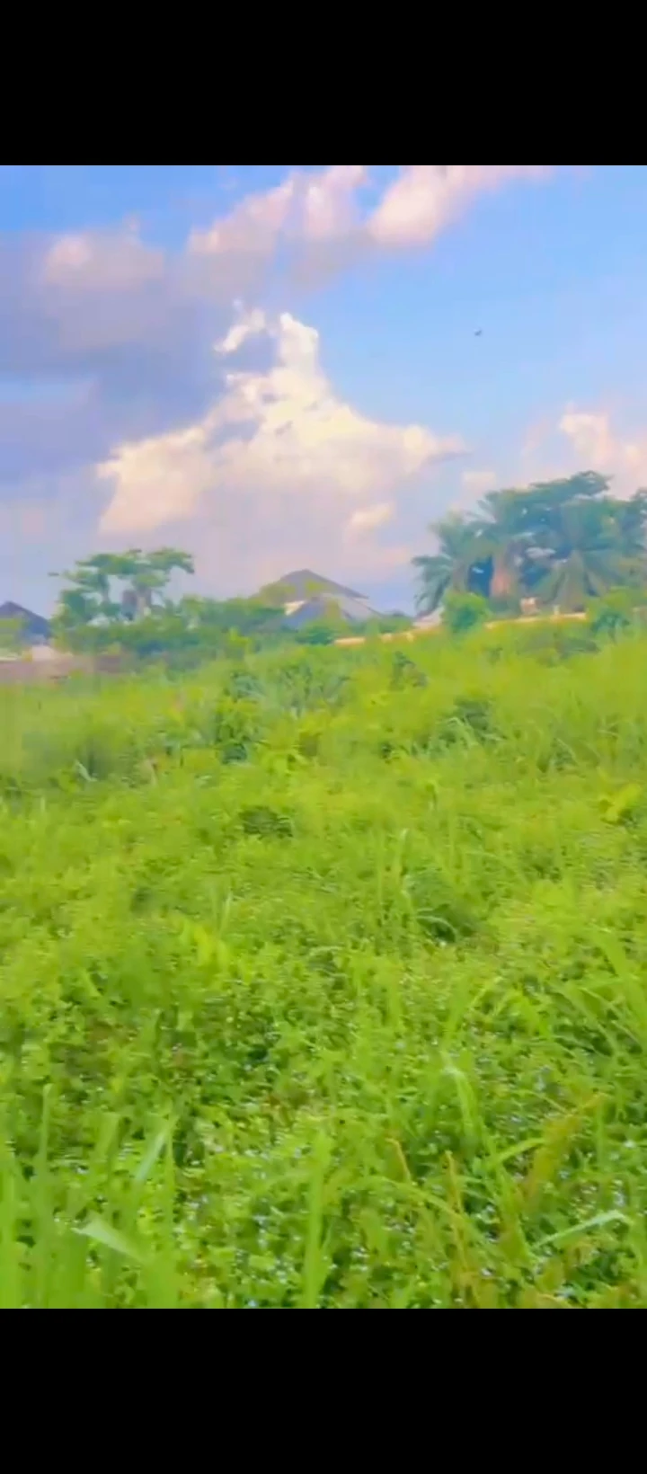 Land for Sale in Falanu country home, Edo - Image 1