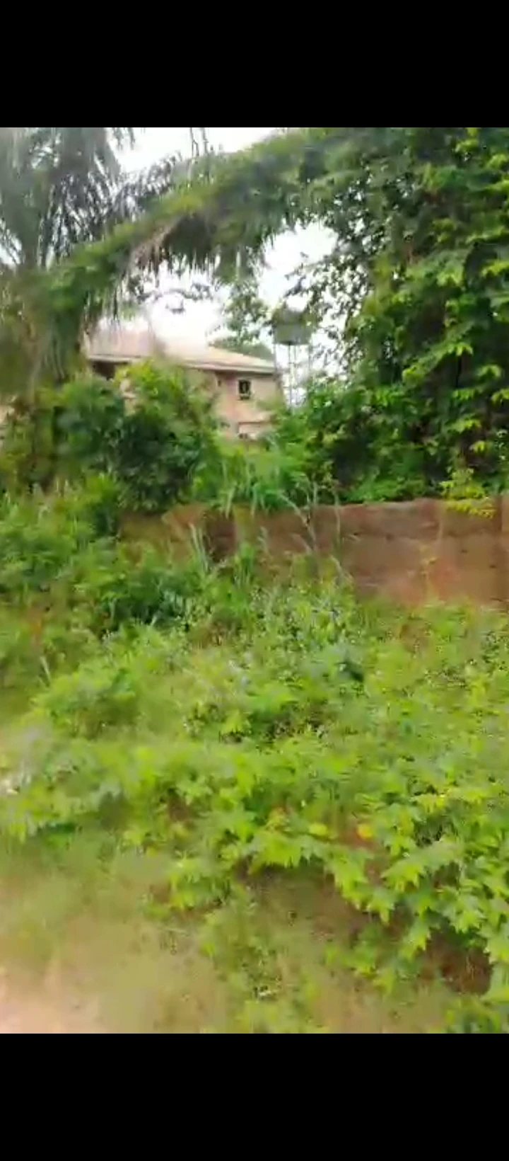 Land for Sale in Ogunwenyin, Edo - Image 2