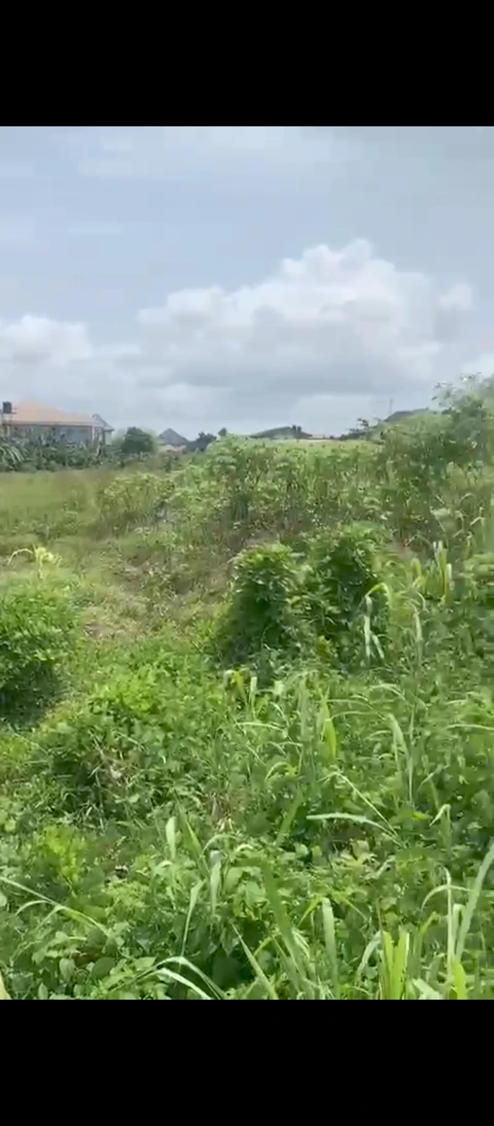 Land for Sale in Chalisco phase 2 off NPA road Warri Delta state, Delta - Image 2
