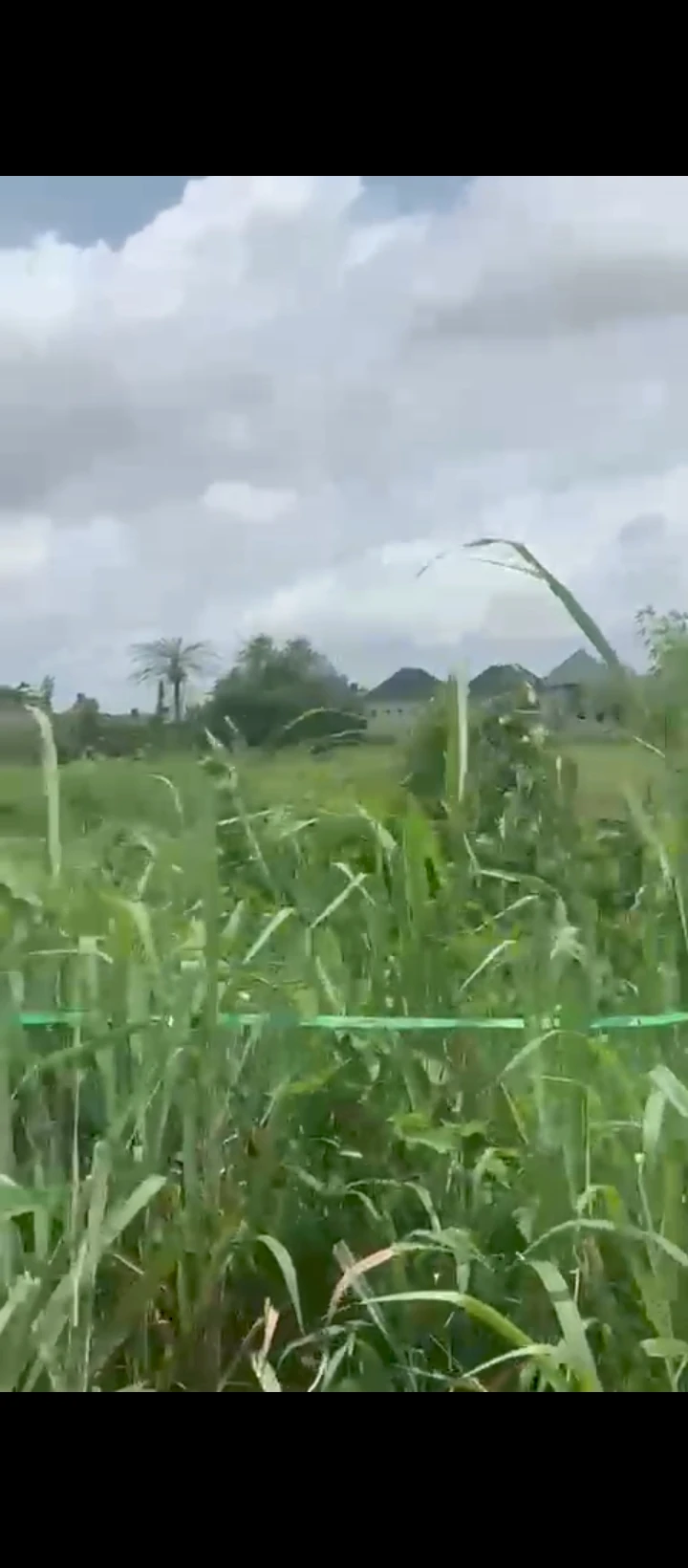 Land for Sale in Chalisco phase 2 off NPA road Warri Delta state, Delta - Image 3