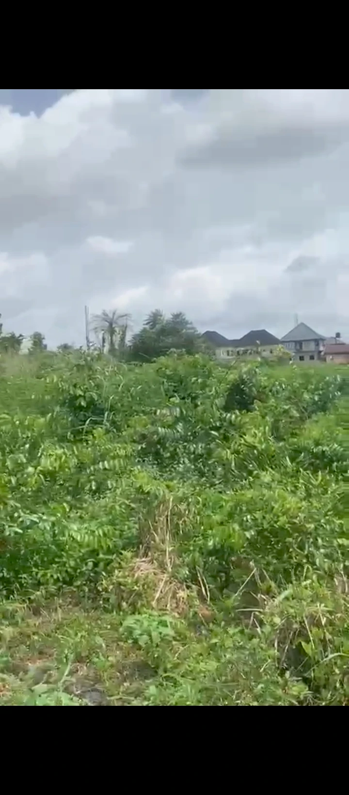 Land for Sale in Chalisco phase 2 off NPA road Warri Delta state, Delta - Image 1